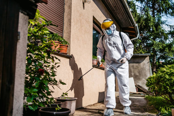 Best Best Pest Control Companies  in Oro Valley, AZ