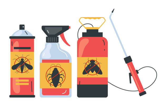 Pest Prevention Services in Oro Valley, AZ
